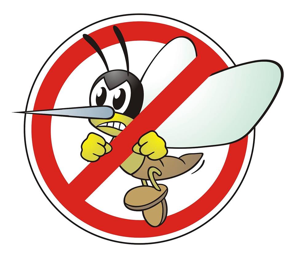 Stelle di giorno Consigli utili per combattere le zanzare in modo naturale