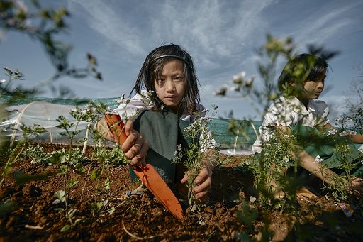 Dramma Myanmar, 2° Paese al mondo più colpito da disastri climatici