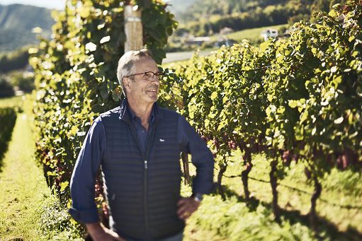 Vino, il “Schulthauser” di San Michele Appiano compie 40 anni