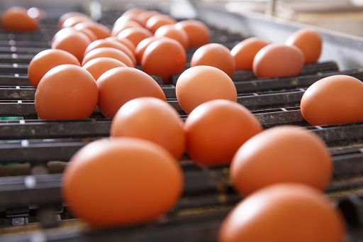 Unaitalia, uova protagoniste della Pasqua: ne compreremo per 125 mln euro