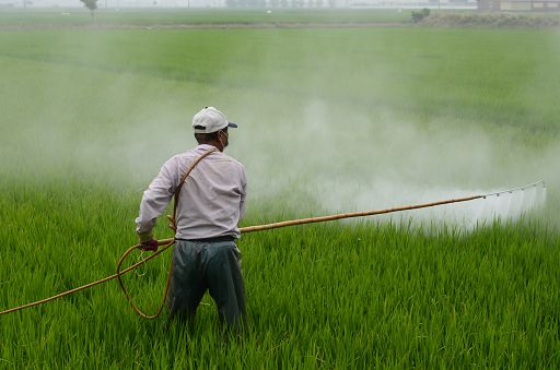Salute, Wwf: pesticidi in agricoltura hanno contaminato il Pianeta