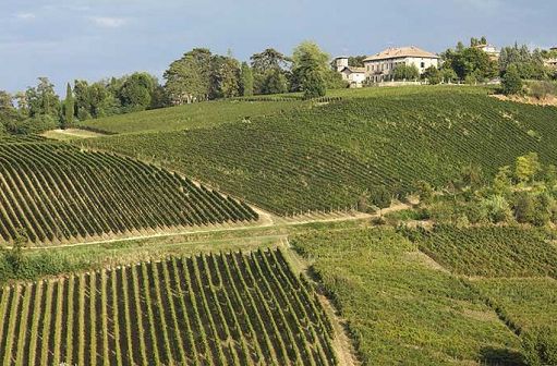 Mazzali: vino è biglietto da visita, Lombardia protagonista enoturismo