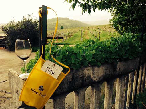Vino, 23 aprile c’è “Giro del Nizza”: tour tra le colline del Monferrato