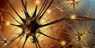 Parkinson, disfunzione circuito neuronale alla base rigidità muscolare