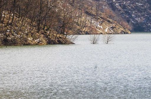 Piemonte, Cirio: acqua è di tutti, agricoltori non siano penalizzati
