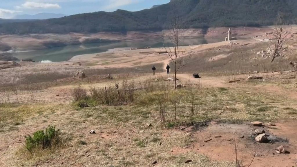 Parlamento europeo adotta una legge contro la deforestazione
