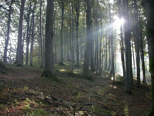 Turismo: i parchi naturali mete sempre più ambite