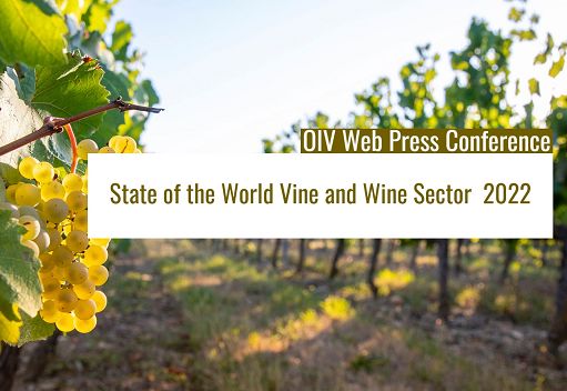 Oiv: nel 2022 produzione mondiale vino -1% su 2021, stabile da 4 anni