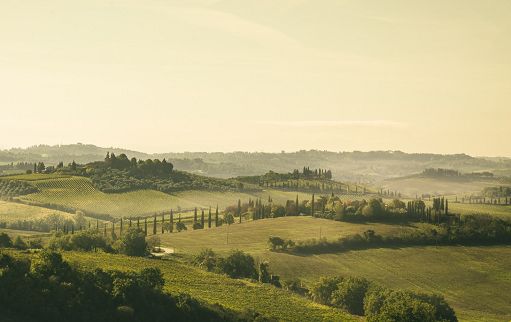 Vino, sistema ville-fattoria Chianti Classico candidato a sito Unesco