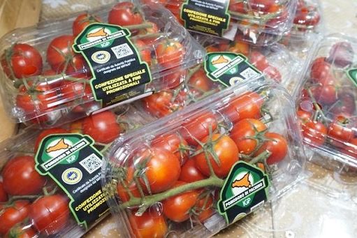 Il Consorzio pomodoro Pachino Igp al Macfrut di Rimini