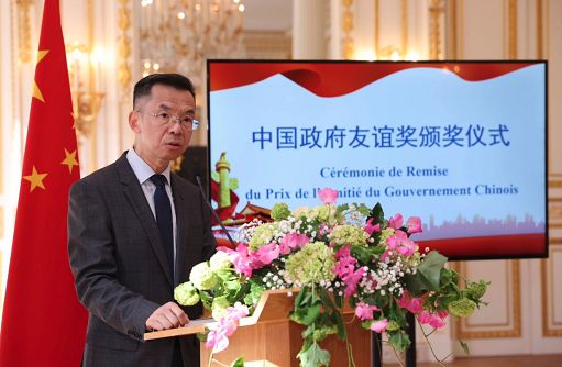Lu Shaye, ambasciatore della polemica: un “lupo guerriero” di Xi