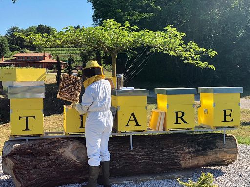 Vino, “Save the bees and farmers”: il messaggio di Tiare in etichetta
