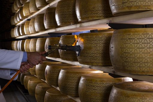 Consorzio Grana Padano: nasce l’albo dei fornitori di foraggi e mangimi