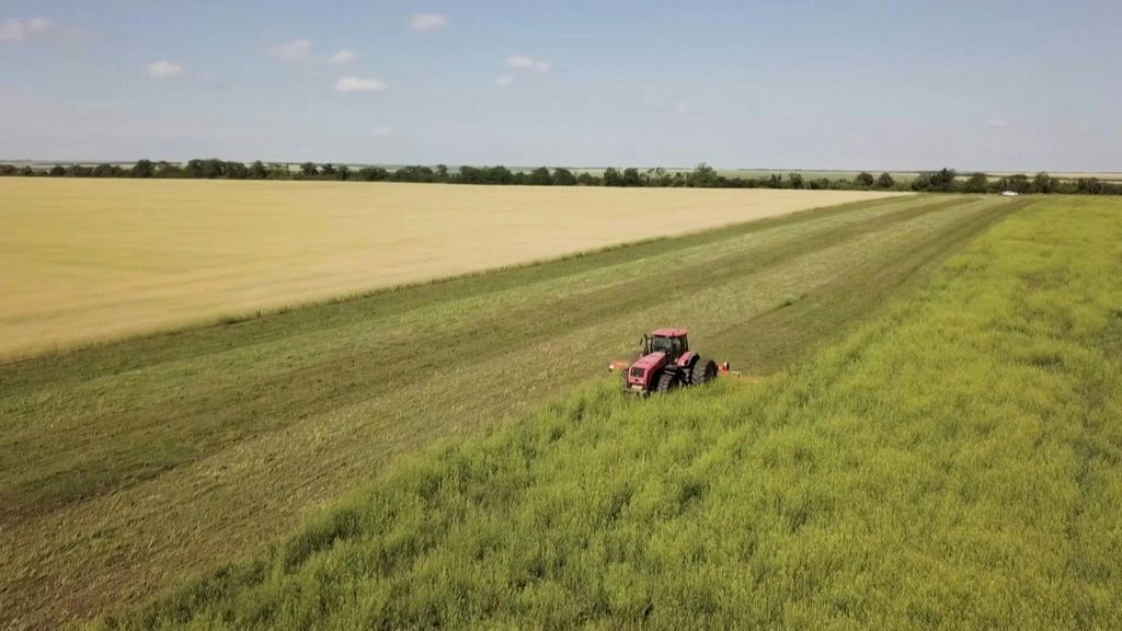 Imprese agricole: scelte gestionali fanno differenza più della dimensione