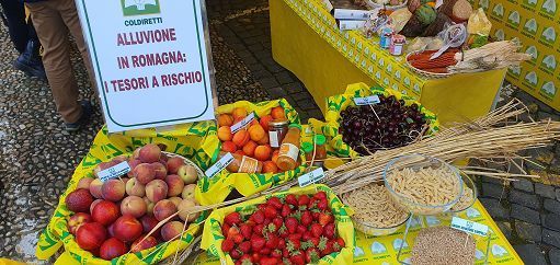 Coldiretti: in Emilia-Romagna 5mila aziende agricole e allevamenti devastati