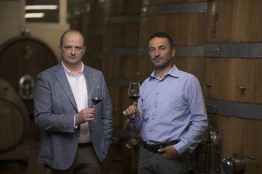 Vino, Denis Andreis nuovo direttore generale di Cantina Toblino