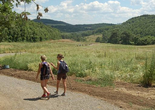 Concluso il Francigena Fidenza Festival, quattro giorni e una Via