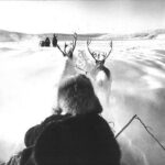 A Como la Naturalis Historia del fotografo Mario De Biasi