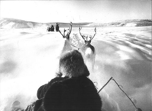 A Como la Naturalis Historia del fotografo Mario De Biasi