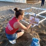 Wwf: in Sicilia i primi due nidi di tartaruga marina della stagione
