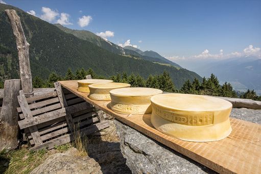 Riforma Ig, Cia: ora più tutele per gli agricoltori