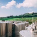 Vino, Valvirginio: 2 mln per rendere più green la cooperativa