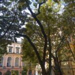 Napoli, oggi e domani musica nel Giardino dell’Accademia di Belle Arti