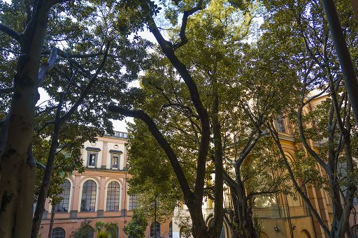 Napoli, oggi e domani musica nel Giardino dell’Accademia di Belle Arti