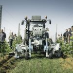 Torna “Vite in Campo”: soluzioni innovative per settore vitivinicolo