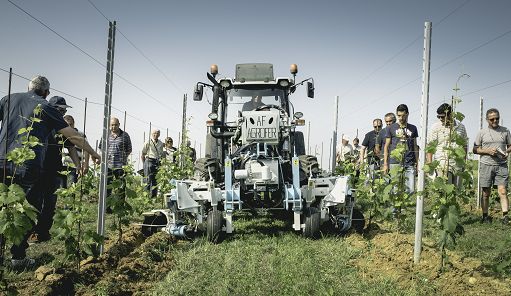 Torna “Vite in Campo”: soluzioni innovative per settore vitivinicolo