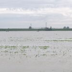 Alluvione in Emilia-Romagna, allarme per le campagne: il fango soffoca 100mila ettari