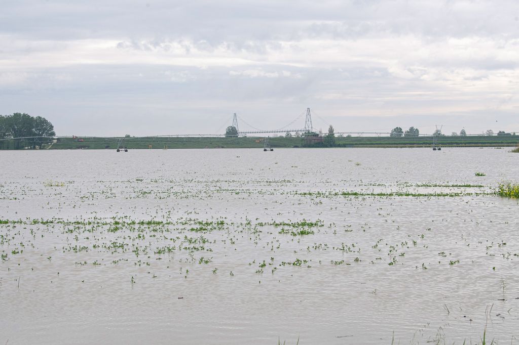 Alluvione in Emilia-Romagna, allarme per le campagne: il fango soffoca 100mila ettari