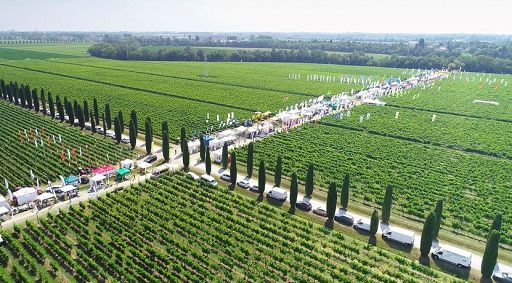 Vino, 7-8 giugno “Enovitis in campo”: fiera di comparto da 2 mld anno