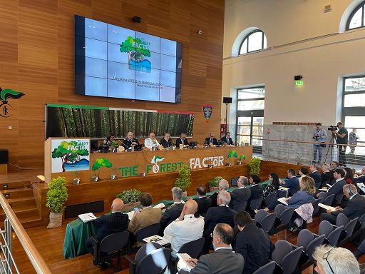 Il comandante generale dei carabinieri: le foreste sono cruciali per il pianeta ma continuiamo a depredarle