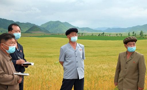 BBC riesce a intervistare gente in Nordcorea: situazione drammatica