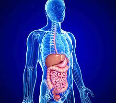 Gastroenterologia: sfide guardano a stili vita e a uso A.I. per diagnosi
