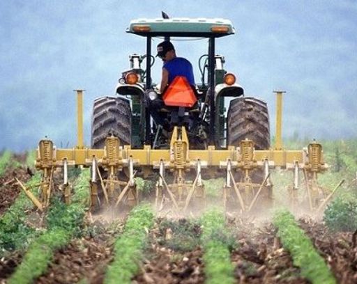 Agricoltura, report Aic-openpolis: -30% imprese agricole in 10 anni