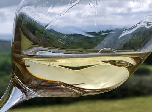A Poggio Cagnano torna la “Sbicchierata” con i vini di 30 aziende