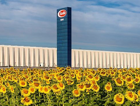 Barilla: nel 2022 9mila aziende coinvolte in agricoltura sostenibile