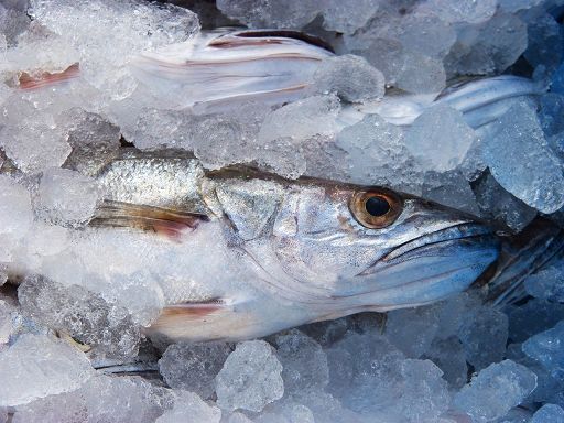 Iias: cresce consumo surgelati, +1,2% a volume in 2022
