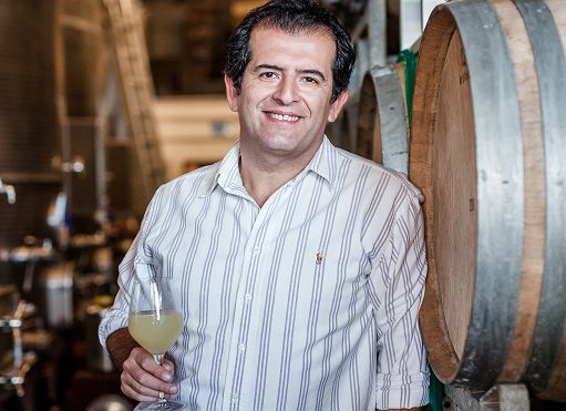 Compagnia del Vino chiude 2022 con 9,3 mln di fatturato, +8% su 2021