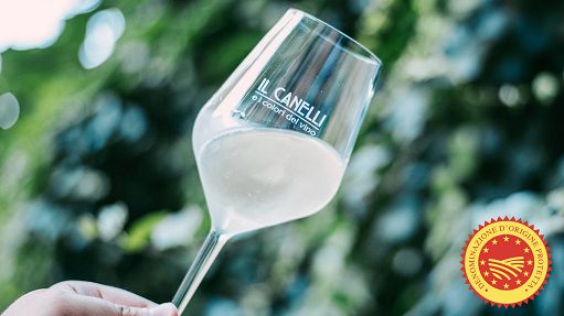 Vino, Qualivita: Canelli Dop porta l’Italia del vino a 527 IG