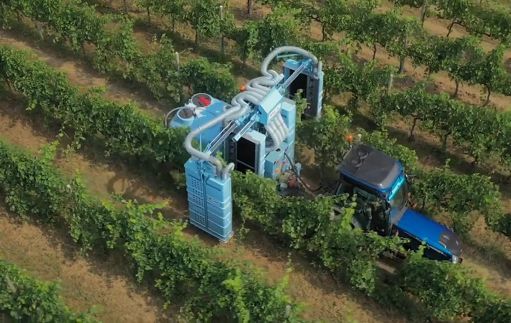 Vino, oltre 1.500 visitatori alla quinta edizione di “Vite in Campo”