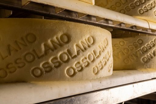 Nasce progetto LoSt EU, protagonisti 8 formaggi sostenibili