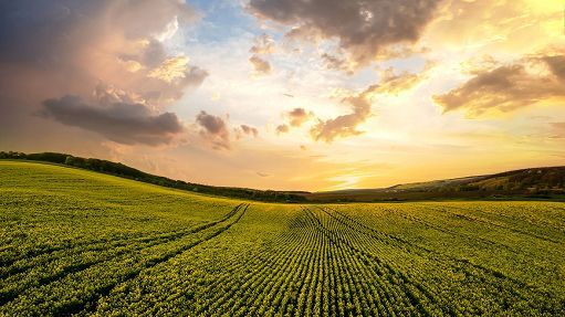 Ecco cosa prevede il nuovo pacchetto Ue su Ogm, suoli, rifiuti alimentari e tessili