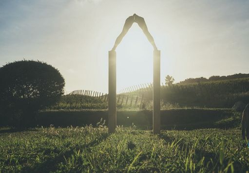 Vino, Monteverro: nuove etichette ispirate a un’opera di Dormino