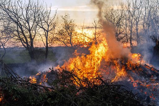 Ispra: nel 2022 più che dimezzati ecosistemi boschivi in fiamme
