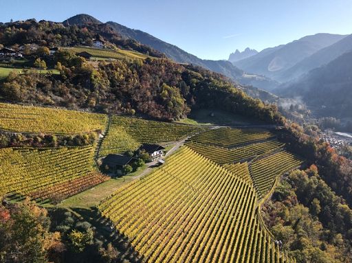 Torna Enovitis Extreme, tecnologia per vigneti eroici di montagna