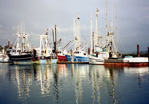 Il 14 luglio Coldiretti a San Benedetto contro politiche pesca Ue
