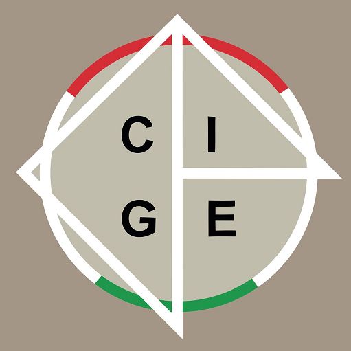 Cgie: servizi rete consolare a rischio, aumentare organico